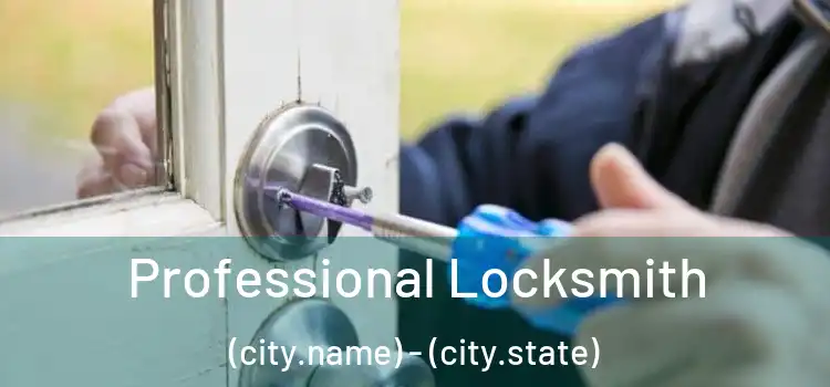 Professional Locksmith (city.name) - (city.state)